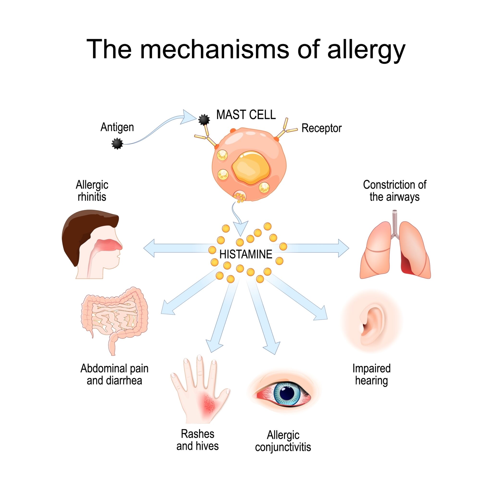 Allergist Greenwood Indiana 37 - 58i8y32